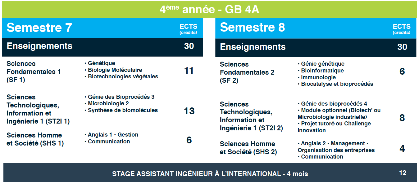 Diplôme D'ingénieur En Génie Biologique - École D'ingénieur Polytech